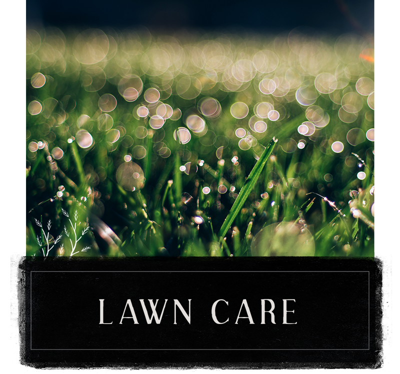 Earthlight Lawn Care